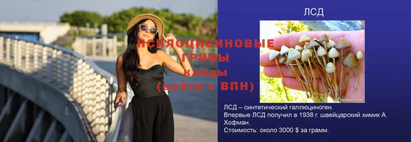 сатива Пересвет