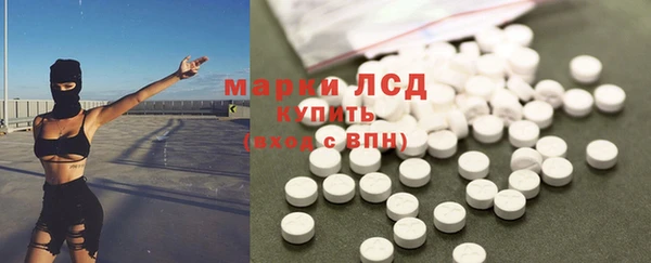 сатива Пересвет