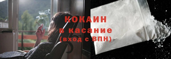 сатива Пересвет