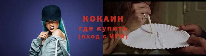 сатива Пересвет
