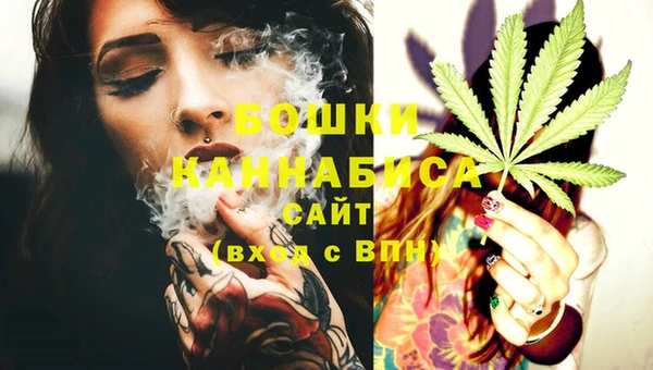 сатива Пересвет