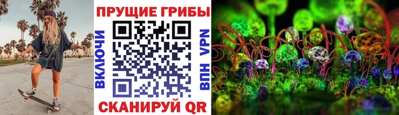 сколько стоит  Верхняя Салда  Псилоцибиновые грибы Psilocybe 