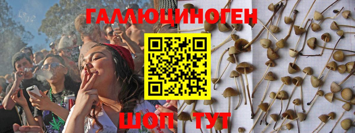 Псилоцибиновые грибы GOLDEN TEACHER  Вход с VPN  Псилоцибиновые грибы Magic Shrooms  Верхняя Салда 